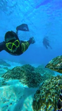 Bir dalgıç, Thoddoo, Maldivler yakınlarındaki sualtı ortamında bir deniz kaplumbağası ile birlikte yüzer. Mercan oluşumlarını ve suda süzülen güneş ışığını gösterir..
