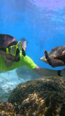 Thoddoo 'da şnorkelle yüzen bir kişi, Maldivler renkli mercan ve açık mavi suyun ortasında bir deniz kaplumbağasıyla etkileşim halindedir..