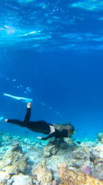 Bora Bora 'daki mercan oluşumları yakınlarındaki berrak mavi sularda yüzen bir kadın, çeşitli balıklarla çevrili.