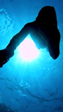 Maldivler 'in derinliklerinde, güneş ışığıyla aydınlatılan mavi suyla çevrili serbest bir dalgıç yukarıdan süzülüyor..