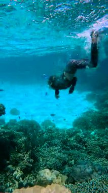 Küçük bir kız Maldivler 'de su altına dalıyor, mercan resiflerini keşfediyor ve çeşitli balık türlerini gözlemliyor..