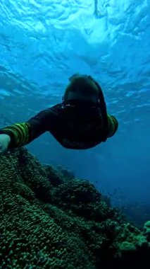 Bir dalgıç Maldivler 'deki su altı resiflerinde gezinerek çevredeki deniz yaşamını ve mercan oluşumlarını yakalar..