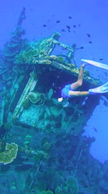 Freediver, Maldivler 'deki Keyodhoo adası yakınlarındaki Vaavu Batığını araştırıyor. Deniz yaşamı ve mercan oluşumlarıyla çevrili..