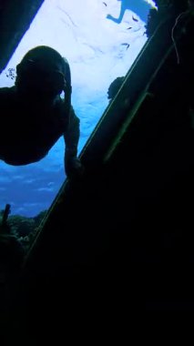 Maldivler 'deki Keyodhoo Adası' nın yakınlarındaki Vaavu Batığının içinde deniz yaşamı ve güneş ışığının arasında enkazın içinden süzülen Freediver..