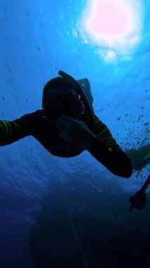 Freediver, Maldivler 'deki Keyodhoo Adası yakınlarındaki Vaavu Batığını araştırıyor. Etrafı deniz yaşamı ve mavi okyanus manzarasıyla çevrili..