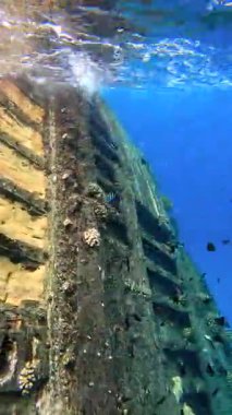 Vaavu Batığı, Maldivler 'deki Keyodhoo Adası yakınlarında, mercanlarla kaplı ve çeşitli balık türleriyle çevrili olarak suyun altında yatıyor..