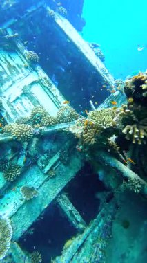 Vaavu Batığının içinde, Maldivler 'in Keyodhoo Adası yakınlarında, sualtı ortamında mercan oluşumları ve çeşitli balıklar bulunur..