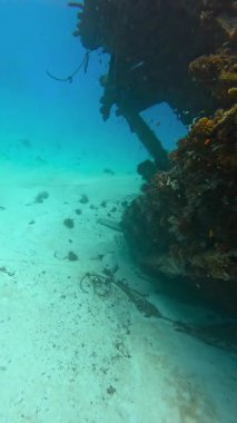 Vaavu Batığı, Maldivler 'deki Keyodhoo Adası' nın yakınında, kısmen çökeltilerle kaplı mercan ve deniz canlılarıyla kaplıdır..