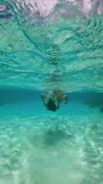 Bora Bora 'da su altında şnorkelle yüzen küçük bir kız, kumlu bir zeminin üzerinde turkuaz sularda oynuyor..
