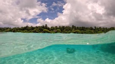 Bora Bora 'daki su altı manzarası, yüzeyin altında kayalık bir oluşumla adanın yemyeşil yeşillikleriyle çevrili berrak bir turkuaz su gösteriyor..
