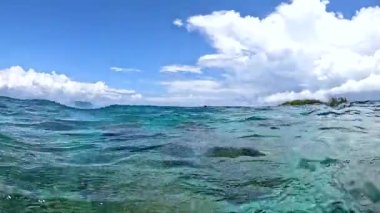 Bora Bora 'daki sualtı sahnesi su yüzeyinin altında görünen mercan oluşumlarıyla berraklık ve dokuların karışımını gösteriyor..