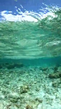 Bora Bora 'daki sualtı sahnesi berrak suyla kayalık bir deniz yatağı ve uzak mercan yapılarını ortaya çıkarıyor..