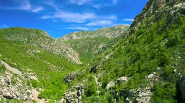 Yeşil bir dağ vadisinde seyrek ağaçlar ve yürüyüş yolu Himalayalar..