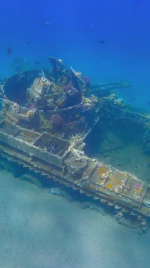 Palau 'daki kumlu okyanus tabanında çürüyen bir askeri tank enkazı..