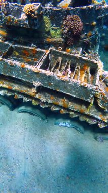2. Dünya Savaşı 'ndan kalma batık bir tank enkazının sualtı görüntüsü kumlu deniz tabanında mercan büyümesi ve etrafta yüzen balıklar, Palau.