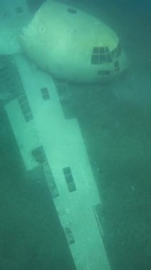 Batık uçak enkazı suyun altında görünüyor. Uçak gövdesi ve kanat yapısı. Palau 'da..
