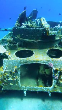 2. Dünya Savaşı 'ndan kalma batık bir tank enkazının sualtı görüntüsü kumlu deniz tabanında mercan büyümesi ve etrafta yüzen balıklar, Palau.
