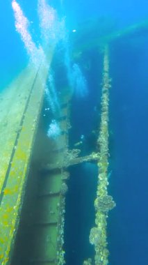 Dalgıçlar mavi sularda mercanlarla kaplanmış büyük, aşırı gelişmiş bir gemi enkazı keşfettiler. Palau 'daki kaşiflerden kabarcıklar yükseliyor..