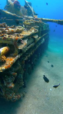 Kumlu bir deniz yatağında yatan batık bir askeri araç enkazı. Metal yapıda deniz yaşamı yetişiyor. Palau 'da..
