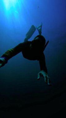 Bir frediver, Endonezya 'nın Bali kentindeki USAT Liberty Wreck sualtı enkazında yüzüyor. Açık mavi su gemi enkazını çevreledi. Seyahat yayınları, dalış mağazası promosyonları için uygun