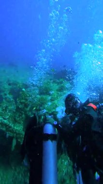Dalgıçlar Endonezya, Bali 'deki USAT Liberty Wreck' i araştırıyorlar. Gemi enkazı su altında mercan ve deniz büyümesiyle kaplıdır..