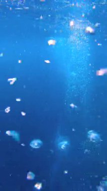 Büyük Set Resifi 'nin yüzeyine doğru yükselen baloncukların su altı görüntüsü..