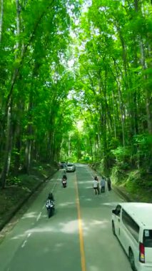 Bilar İnsan Yapımı Ormanı, Bohol, Filipinler 'deki asfalt yolda araçlar ve insanlar..