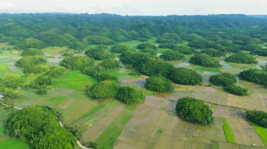 Chocolate Hills, Bohol 'da tarımsal tarlalarla çevrili sayısız yeşil, kubbe şekilli tepelerin havadan görünüşü..