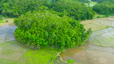 Sel basmış pirinç tarlaları ve kırsal evler, Chocolate Hills, Bohol, Filipinler ile çevrili konik tepelerin havadan görünüşü.