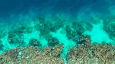 Moalboal, Cebu, Filipinler 'deki berrak turkuaz okyanus suyunun altında canlı mercan resiflerinin hava manzarası görülüyor..