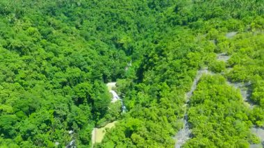 Sarmal bir nehir ve küçük köy yapıları olan yoğun bir tropikal ormanın havadan görünüşü, Kawasan Şelalesi, Cebu, Filipinler.
