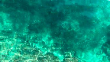 Yetişkin bir şnorkelcinin ve mercan resifinin üzerinde yüzen bir balık sürüsünün havadan görünüşü berrak turkuaz okyanus suyu, Moalboal, Cebu, Filipinler.