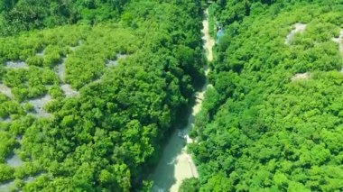 Yoğun, yemyeşil tropikal orman ve tepelerden akan dolambaçlı bir nehrin havadan görünüşü, Luzon, Filipinler.