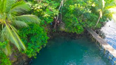 Çevresi yemyeşil ağaçlar ve palmiye ağaçları, Siargao, Filipinler ile çevrili, turkuaz suya sallanan genç erkeklerin yüksek açılı görüntüsü.