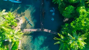 Parlak yeşil bir nehrin, ahşap köprüleri, insanları ve gür palmiye ağaçlarının arasında kayıkları olan havadan görünüşü. Genç yetişkinler yüzerken ve temiz suya atlarken görülüyor, Siargao, Filipinler.