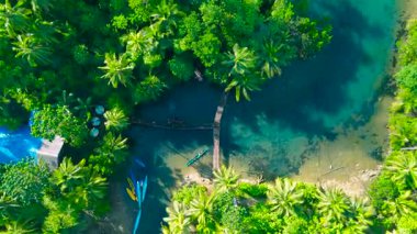 Yoğun tropikal palmiye ağaçları ile çevrili temiz bir turkuaz nehri geçen ahşap köprülerin havadan görünüşü, insanların yüzdüğü ve kano yaptığı Siargao, Filipinler.