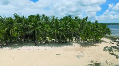 Yeşil palmiye ağaçları, okyanus suyu ve kumdaki insanlar, Siargao, Filipinler 'deki tropikal bir sahil manzarası..
