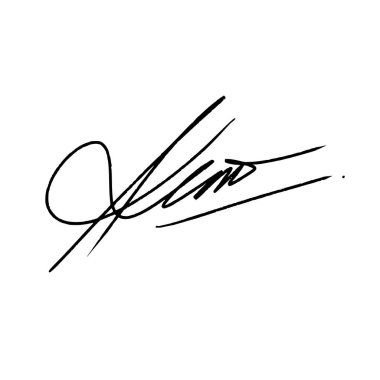 K harfi soyut imza fikirleri. Alfa kanallı vektör. K harfiyle başlayan soyut imza fikri. İllüstrasyon fırça kalemi ile yapılmış. Raster dosya tipleri için siyah yazı rengi ve beyaz arkaplan ve vektör dosyaları için alfa kanalı.