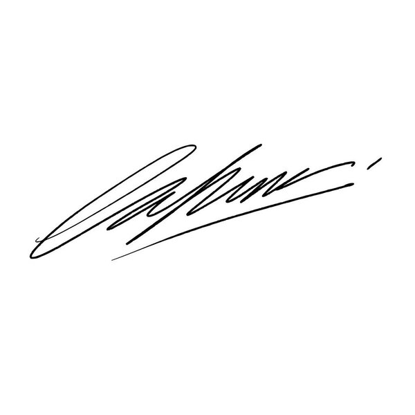 Абстрактная подпись буквы L. Векторная иллюстрация на прозрачном фоне. Черное письмо с использованием цифровой ручки и кисти стиль.