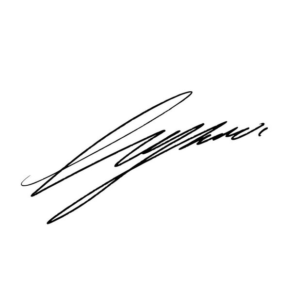 Абстрактная подпись буквы L. Векторная иллюстрация на прозрачном фоне. Черное письмо с использованием цифровой ручки и кисти стиль.