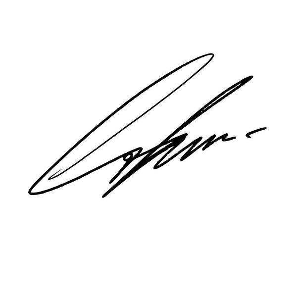 Абстрактная подпись буквы L. Векторная иллюстрация на прозрачном фоне. Черное письмо с использованием цифровой ручки и кисти стиль.