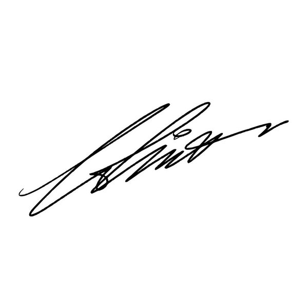 Абстрактная подпись буквы L. Векторная иллюстрация на прозрачном фоне. Черное письмо с использованием цифровой ручки и кисти стиль.