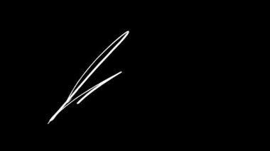 İlk harfle başlayan soyut imza fikri kare kare canlandırdım. Siyah ekran için beyaz yazı ve yeşil ekran için siyah yazı. Video materyali olarak kullanılabilir.