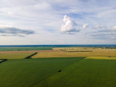 İnsansız hava aracı, hava manzarası, tarlalar, yeşil çayır, bulutlu kırsal alan.