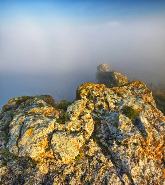 fog in the canyon. Autumn morning in the Dniester river valley. Nature of Ukraine