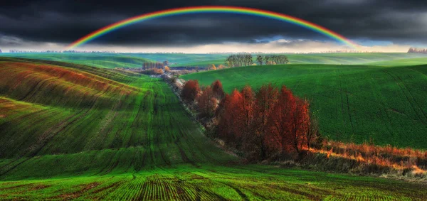 Vue Panoramique Arc Ciel Sur Route Contre Ciel Nature Ukraine — Photo
