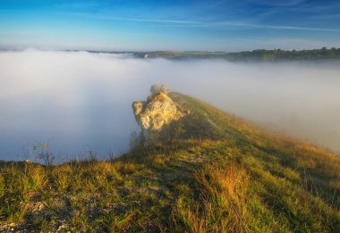 Trees in the Fog. Autumn morning. Nature of Ukraine