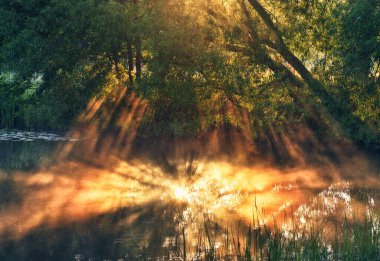 Nehir kıyısında güzel bir bahar gündoğumu. Güneş ışınları sisi delip geçiyor. Sabah sisi