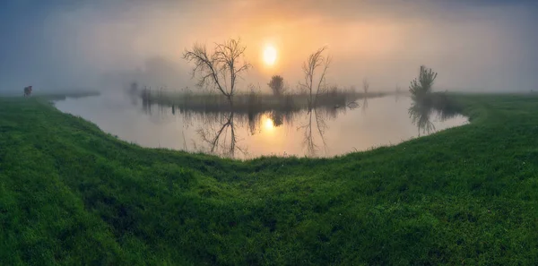 Piękny Wiosenny Wschód Słońca Nad Brzegiem Rzeki Charakter Ukrainy — Zdjęcie stockowe