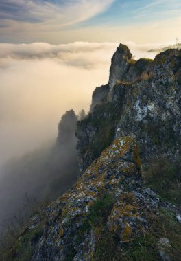 Kanyonda sis var. Dnister Nehri Vadisi 'nde sonbahar sabahı. Ukrayna 'nın Doğası